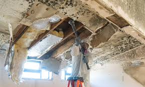 Best Water Damage & Mold Remediation in Greentown, OH